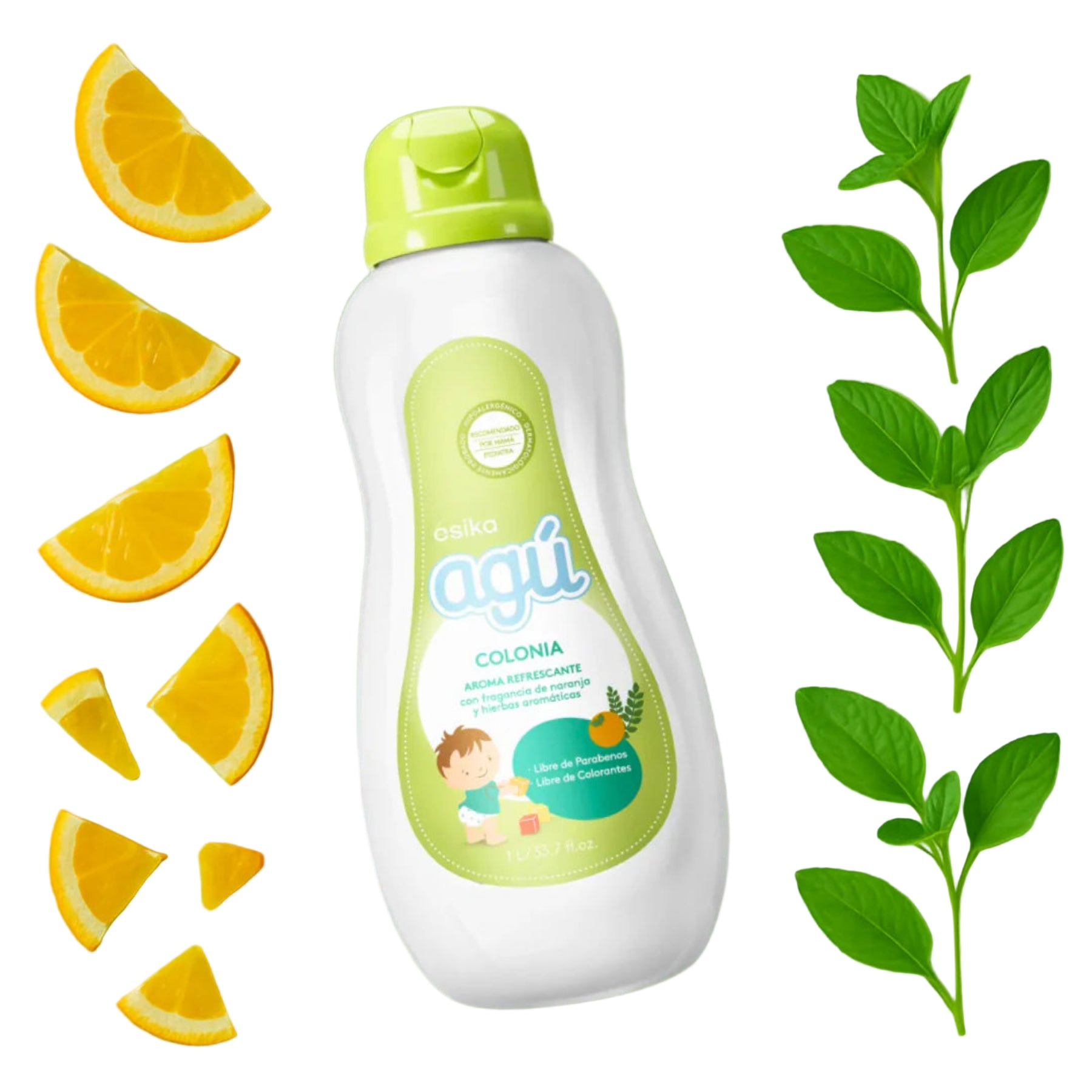 Colonia Agu Tardes De Aventura