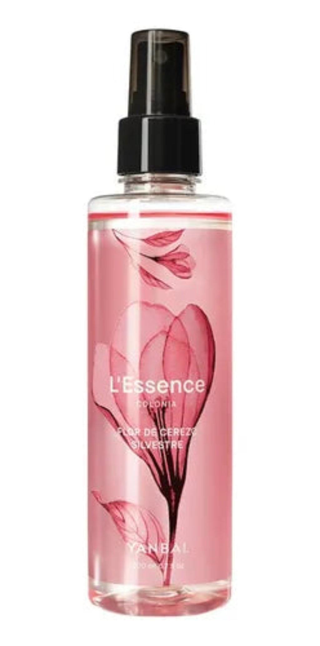 Splash L'Essence flor de cerezo silvestre yanbal