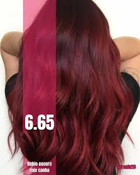 Tinte Leale 2 Tubos 6.65 Rubio Oscuro Rojo Caoba