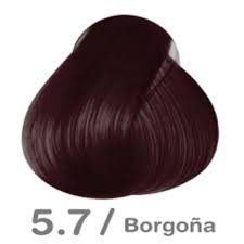 Tinte Visalia 5.7 Borgoña